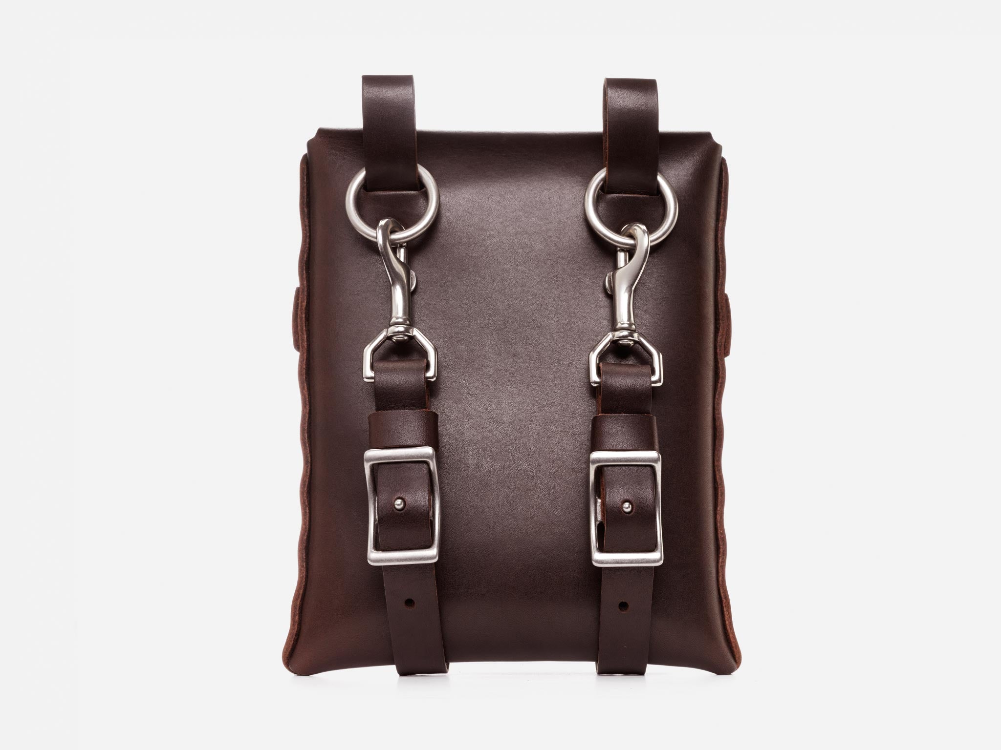 A dark brown leather bag with two silver buckles and clasp attachments on the front, featuring vertical straps and a minimalist design, photographed against a plain white background.